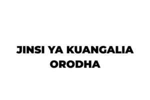 Jinsi ya Kuangalia Waliochaguliwa JKT 2026-2027 PDF