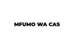 Mfumo wa Maombi ya Vyuo CAS – NACTVET 2026/2027