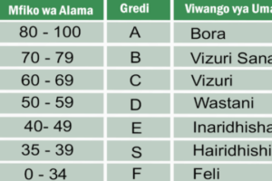 Viwango vya Alama Kidato cha Sita 2026 NECTA ACSEE