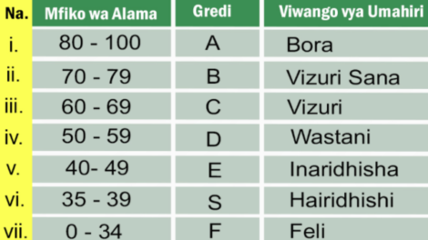 Viwango vya Alama Kidato cha Sita 2026 NECTA ACSEE